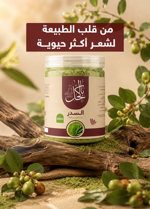 سدر المدينة الطبيعي نص كيلو 500 جرام